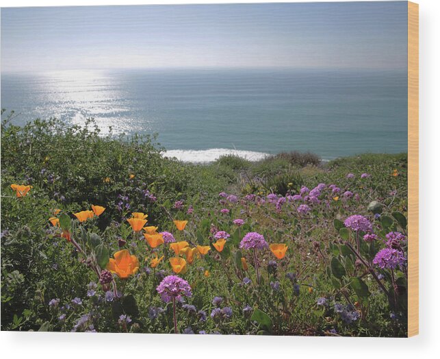 Wildflowers Wood Print featuring the photograph Coastal Bouquet by Robin Street-Morris