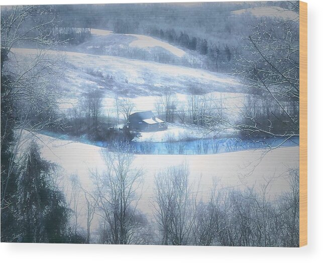  Wood Print featuring the photograph Cold Valley by Jack Wilson