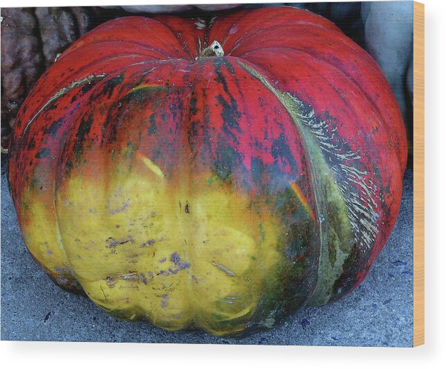 Large Squash Wood Print featuring the photograph Colorful Designer Squash by Linda Stern