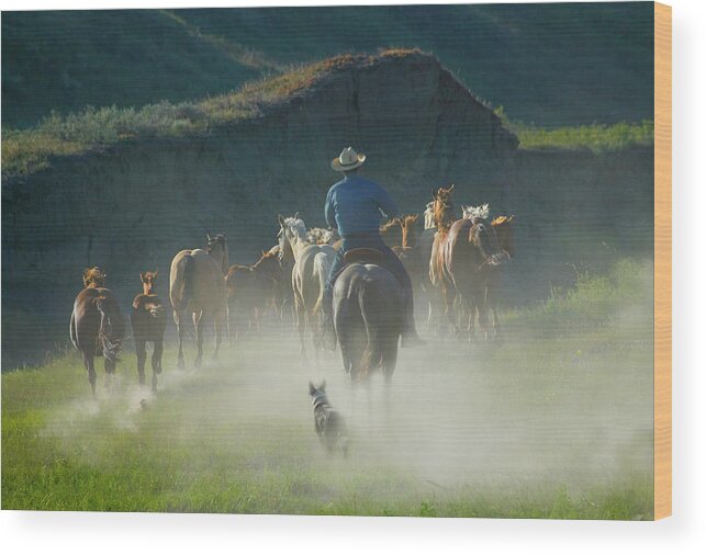 Horse Wood Print featuring the photograph Cowboy With Horses And Dog On The Ranch by Keren Su