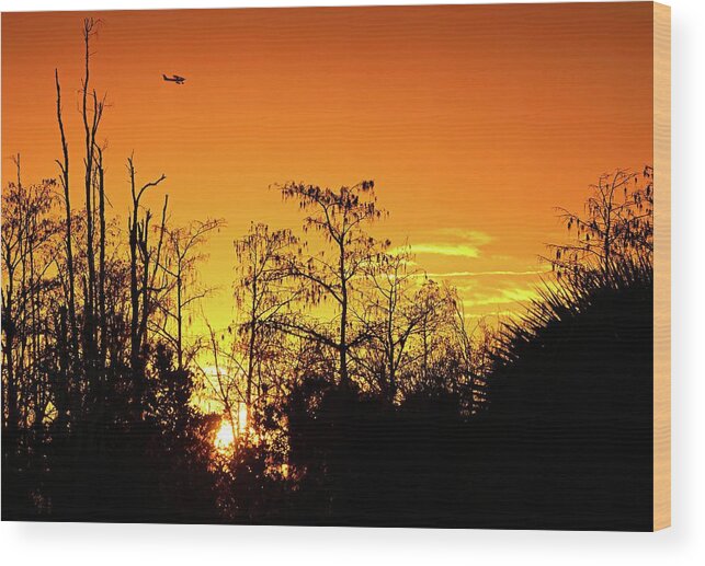 Airplane Wood Print featuring the photograph Cypress Swamp Sunset 3 by Steve DaPonte