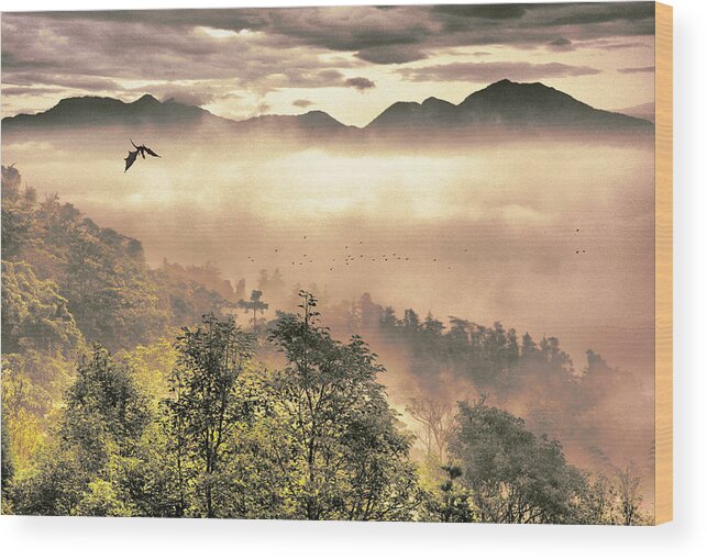 Scenics Wood Print featuring the photograph Dragon by 500