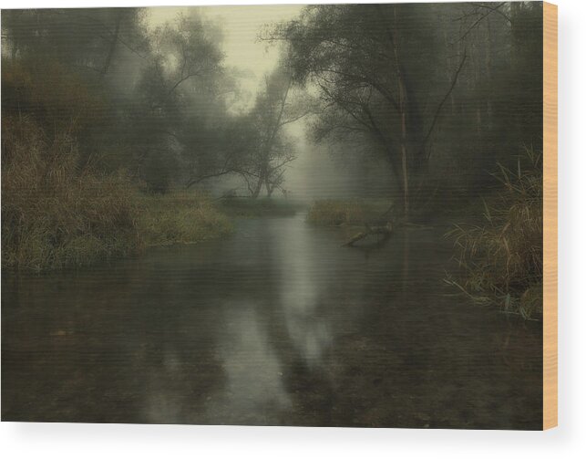 Mood Wood Print featuring the photograph Early Fall & Silence by Norbert Maier