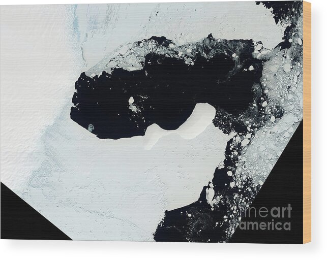East Antarctic Wood Print featuring the photograph East Antarctic Ice Shelf by Nasa/us Geological Survey/science Photo Library