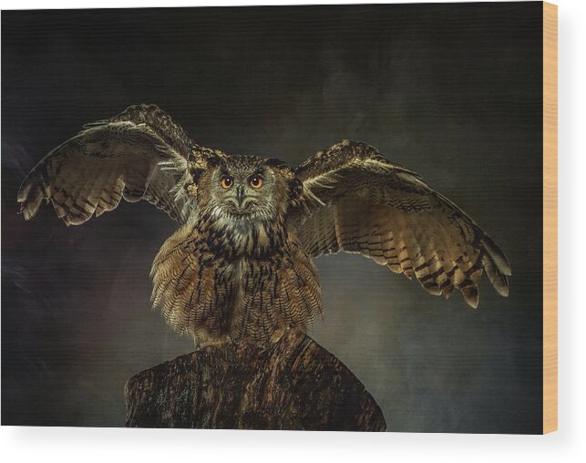 Eagle Owl Wood Print featuring the photograph European Eagle Owl by Natascha Worseling