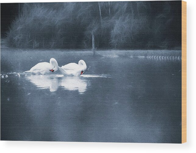 Swans Wood Print featuring the photograph Evening Bath by Jaroslav Buna