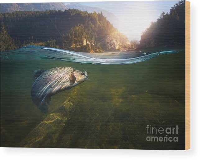 Flare Wood Print featuring the photograph Fishing Close-up Shut Of A Fish Hook by Rocksweeper