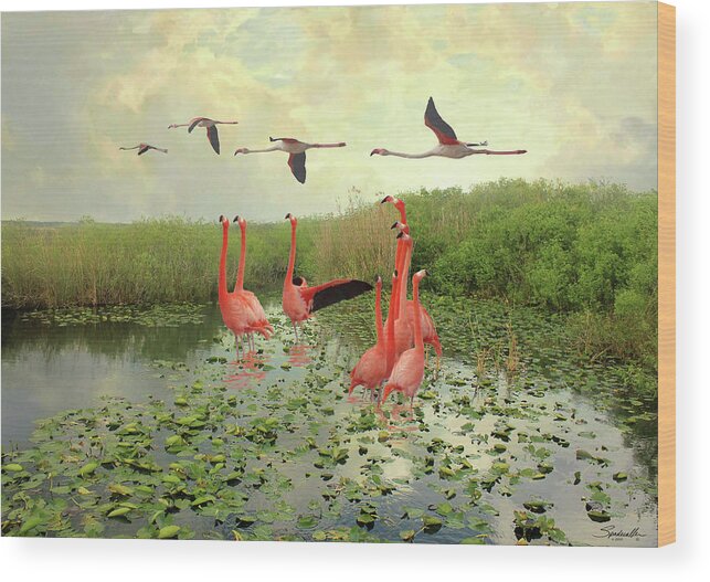 Flamingos Wood Print featuring the digital art Flamingos of Florida by M Spadecaller