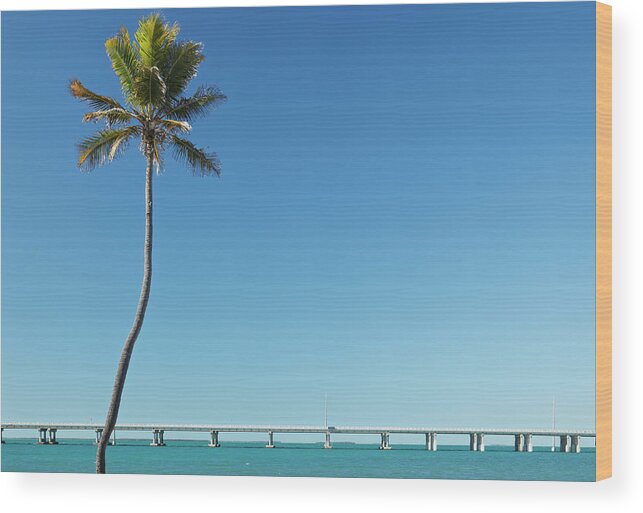 Scenics Wood Print featuring the photograph Florida Keys Landscape by S. Greg Panosian
