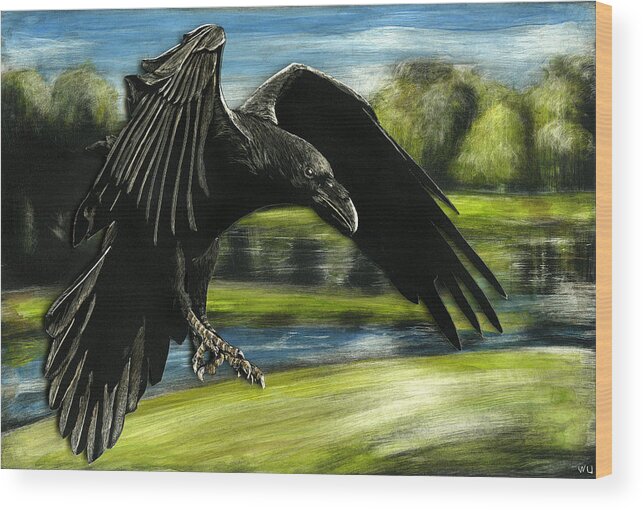 Crow Raven Scratchboard Art Original 