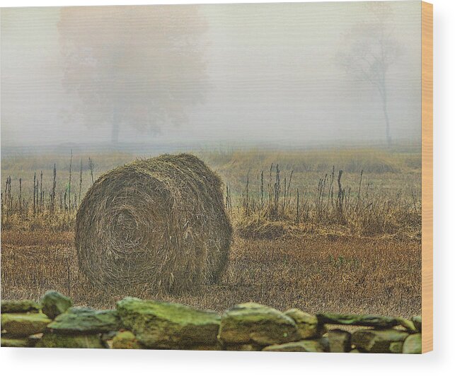 Bale Of Hay Wood Print featuring the photograph Foggy autumn morning near the beach by Cordia Murphy