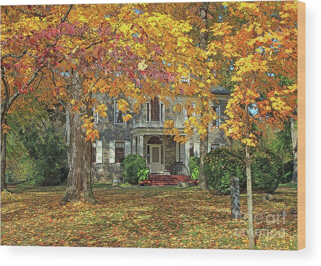 Leaves Wood Print featuring the photograph Fort Hunter Autumn by Geoff Crego