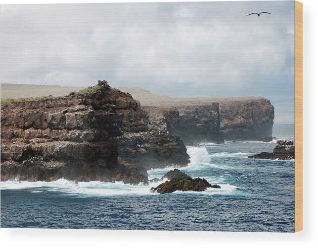 Tranquility Wood Print featuring the photograph Galapagos Coastline Cliffs by Peter Kruger