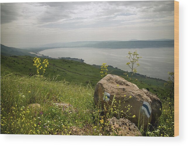 War Wood Print featuring the photograph Galilee View by Zepperwing