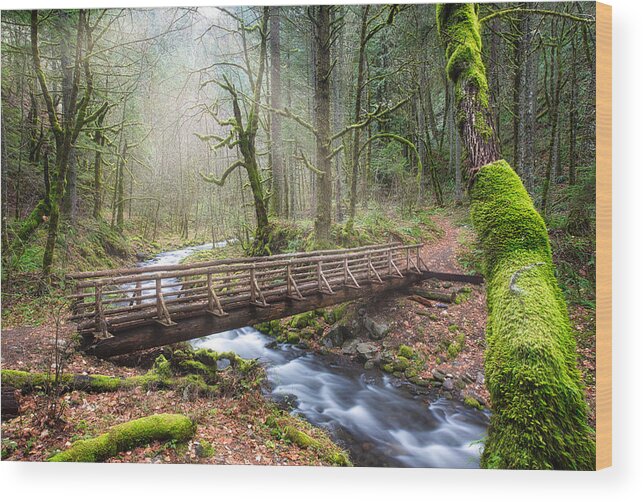 Oregon Wood Print featuring the photograph Gorton Creek by Nicole Young