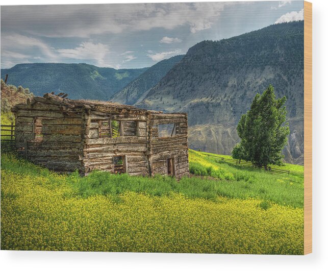 Fraser Canyon Wood Print featuring the photograph Grasslands Cabin by Doug Matthews
