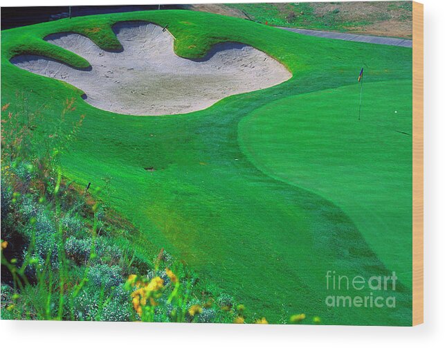 Golf Course Wood Print featuring the photograph Hand in Sand by Terri Brewster