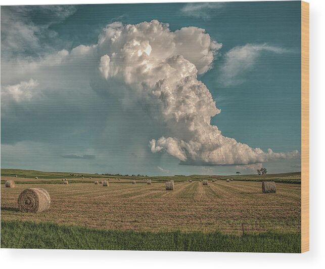 Niobrara River Wood Print featuring the photograph Hay Rollin by Laura Hedien