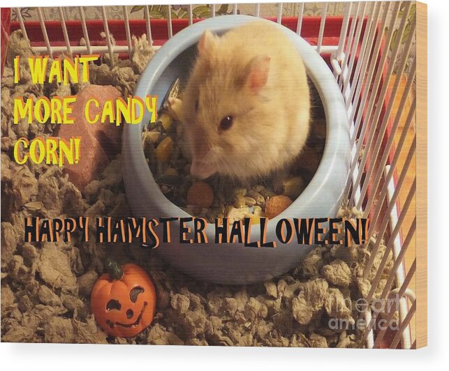 Hamster Wood Print featuring the photograph I Want More Candy Corn by Denise F Fulmer