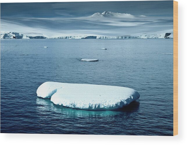 Scenics Wood Print featuring the photograph Iceberg In An Antarctic Landscape by Mike Hill