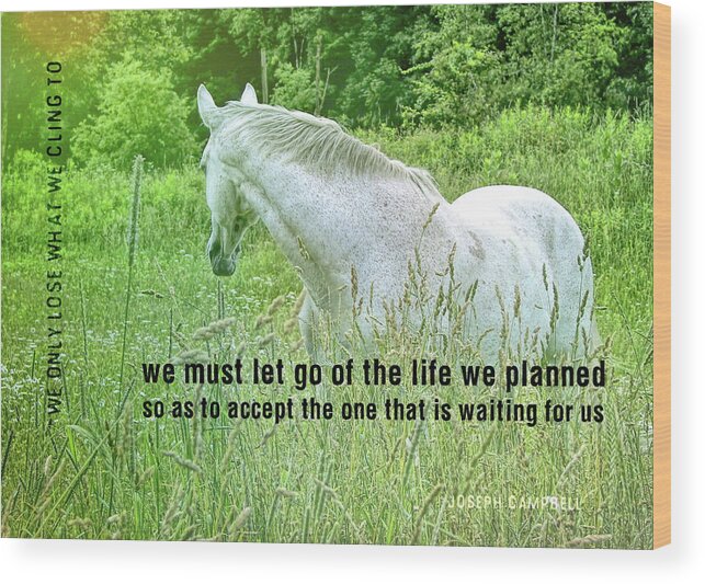 Accept Wood Print featuring the photograph IN THE MEADOW quote by JAMART Photography