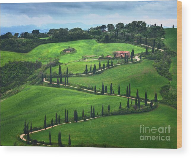 Tranquility Wood Print featuring the photograph La Foce In Tuscany, Italy by Weerakarn Satitniramai