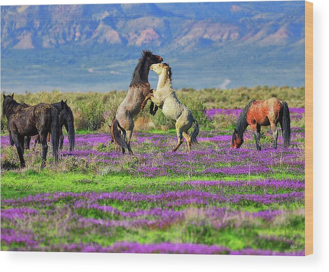 Horses Wood Print featuring the photograph Let's Dance by Greg Norrell
