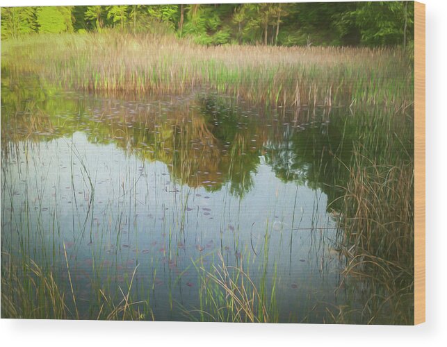 Lily Pads And Reeds Wood Print featuring the photograph Lily Pads And Reeds by Anthony Paladino