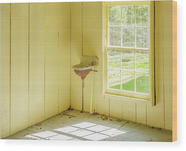 Smoky Mountains National Park Wood Print featuring the photograph Little Sink by the Window by Marcy Wielfaert