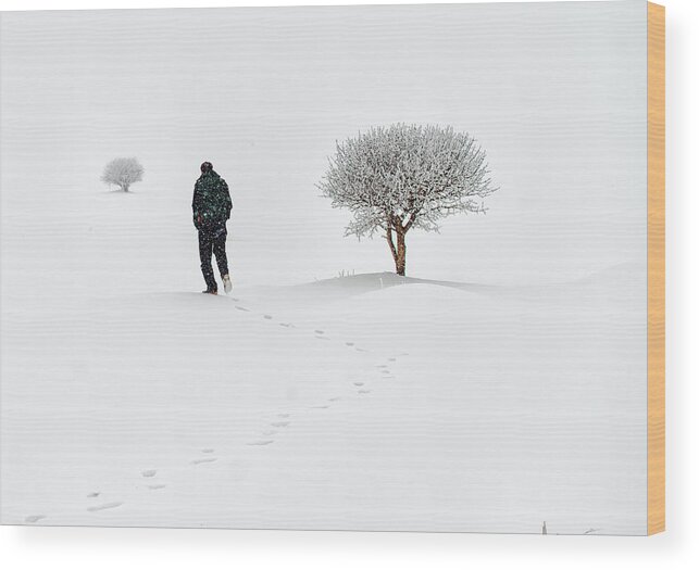 Snow Wood Print featuring the photograph Lone On Snow by Cem