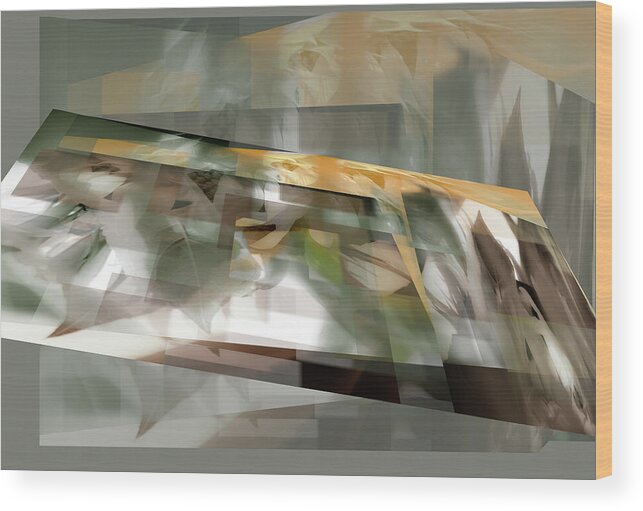 Abstract.conceptual Wood Print featuring the photograph Looking Inward - by Julie Weber