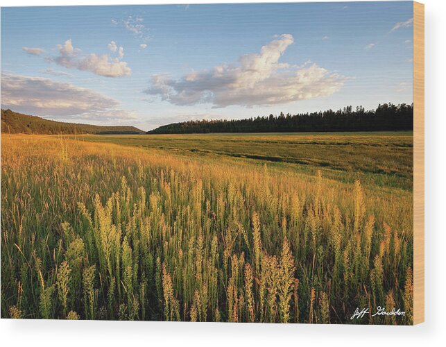Arizona Wood Print featuring the photograph Lower Lake Mary at Sunset by Jeff Goulden