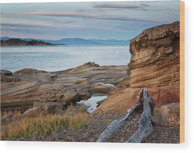 Madrona Point Wood Print featuring the photograph Madrona on a Summer Evening by Randy Hall