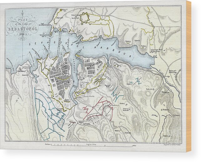 Engraving Wood Print featuring the drawing Map Showing The Siege Of Sevastopol by Print Collector