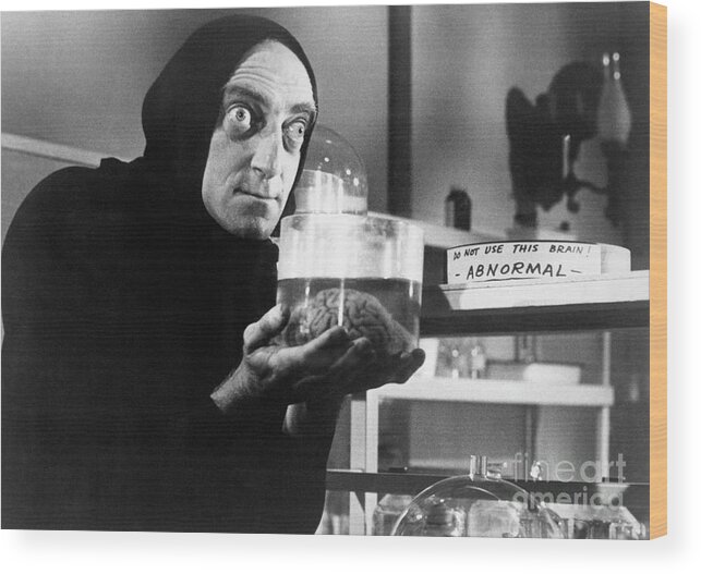 Mexico City Wood Print featuring the photograph Marty Feldman As Igor In Young by Bettmann