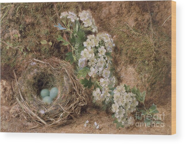 Undergrowth Wood Print featuring the painting May Blossom And A Hedge Sparrow's Nest, 1845 by William Henry Hunt