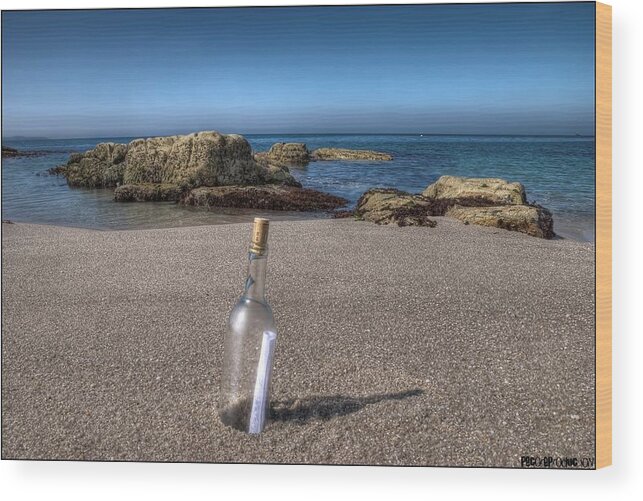 Tranquility Wood Print featuring the photograph Message In The Bottle by Emmanuel Lemée Photographie