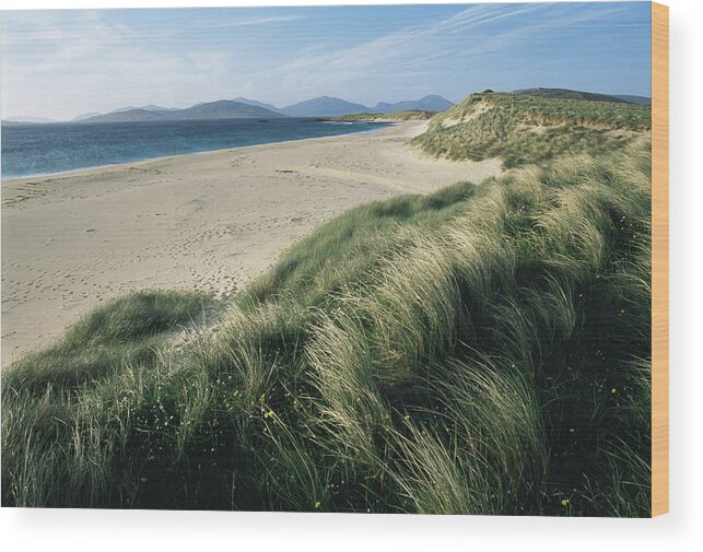 Grass Wood Print featuring the photograph Mhor Sands, Isle Of Harris, Outer by James Warwick