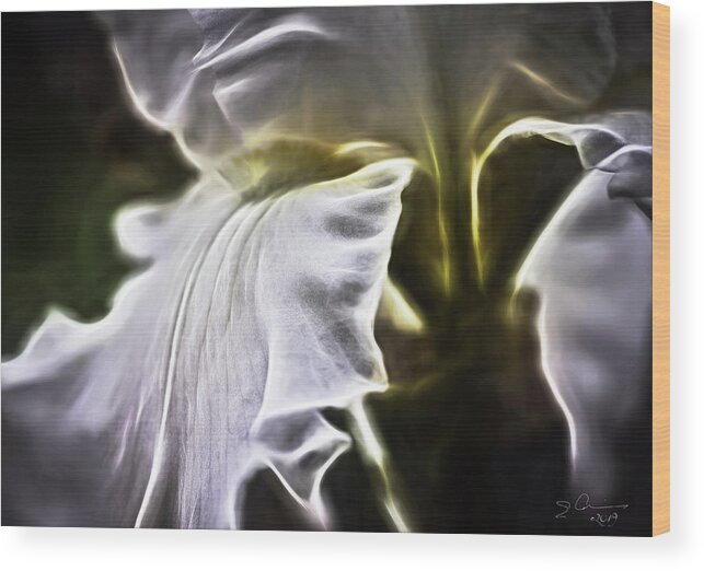 Evie Wood Print featuring the photograph Midnight Iris by Evie Carrier