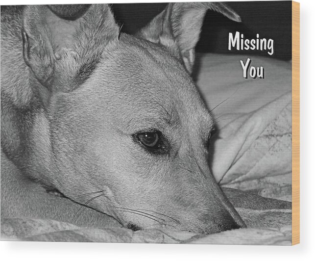  Missing You Wood Print featuring the photograph Missing You by Kathy K McClellan