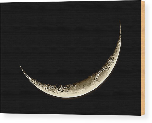 Outdoors Wood Print featuring the photograph Moon by Storvandre Photos By Alessandro Calzolaro