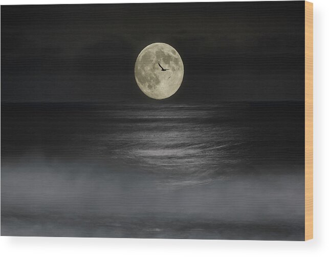 Half Moon Wood Print featuring the photograph Moonset by Don Hoekwater Photography