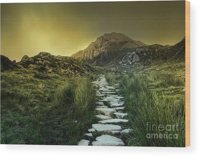 Landscape Wood Print featuring the photograph Mountain Path by David Lichtneker