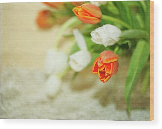 Orange Color Wood Print featuring the photograph Orange And White Tulips, Textured by Susangaryphotography
