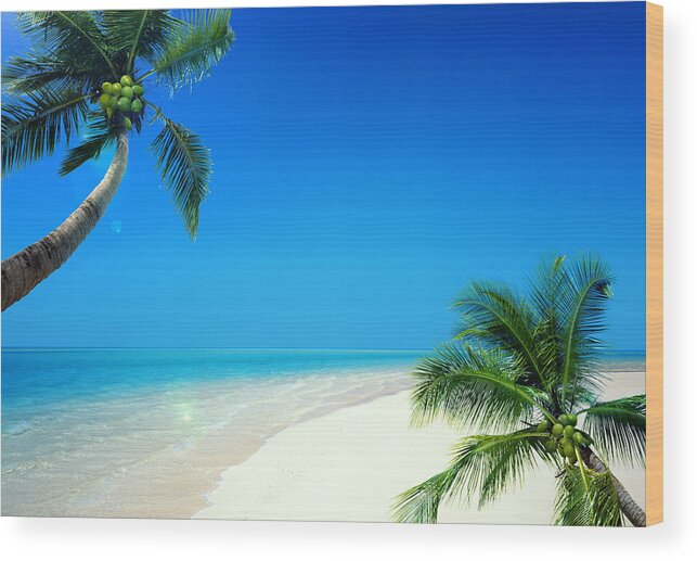 Clear Sky Wood Print featuring the photograph Palm Trees And Sea by C.o.t/a.collectionrf