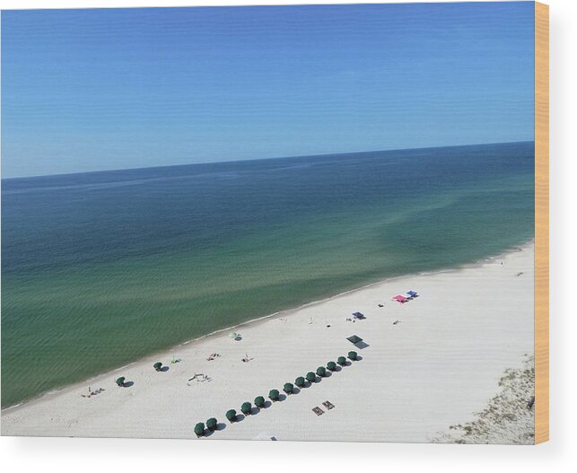 Beach Wood Print featuring the photograph Perdido Key I by Karen Stansberry