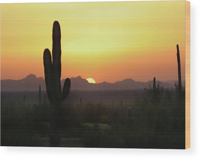 Picacho Peak State Park Wood Print featuring the photograph Picacho Peak Sunset by David T Wilkinson