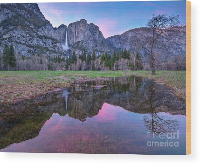 Yosemite Wood Print featuring the photograph Pink Sky and Reflections Over Yosemite by Mimi Ditchie