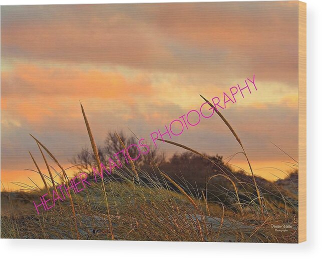 Beach Wood Print featuring the photograph Pink Sunset by Heather M Photography