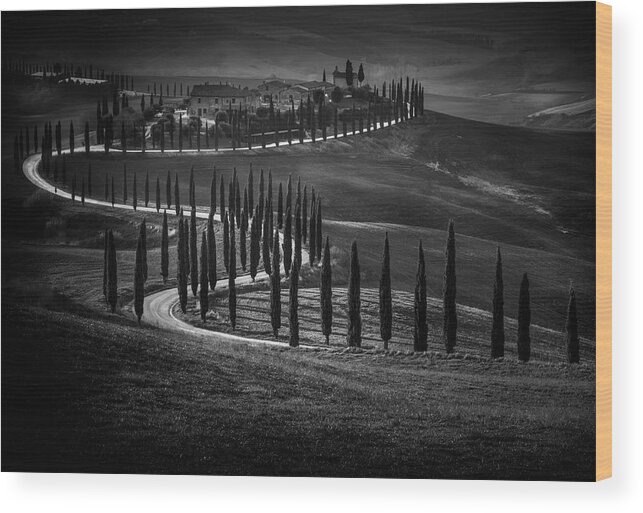 Tuscany Wood Print featuring the photograph Podere Baccoleno by Alessandro Traverso